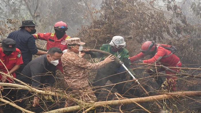 BERJIBAKU - Gubernur Kalimantan Barat Ria Norsan saat berjibaku memadamkan api yang membakar lahan di di Desa Limbung, Rasau Jaya, Kamis (3/9/2026)