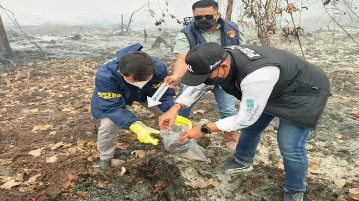 Satgas Gakkum Satreskrim Polres Kubu Raya saat melakukan penyidikan di lahan terbakar PT Pinang Witmas Abadi, Desa Pasak Piang, Kecamatan Sungai Ambawang, Kabupaten Kubu Raya, Selasa (8/9/2026)/Istimewa.
