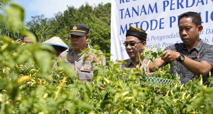 Kaltara