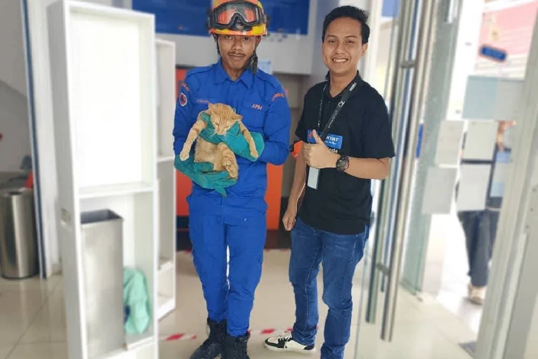 Viral! Selamatkan Kucing Terjebak di Mesin ATM, Aksi Cepat Petugas APM Betong. (FOTO: ISTIMEWA)