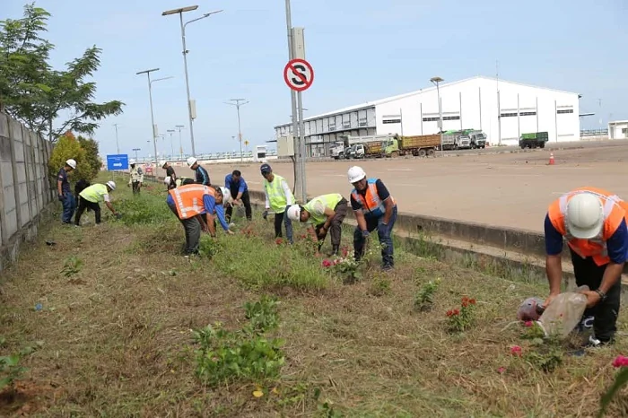 TANAM POHON - Sejumlah Pegawai Pelindo Regional 2 Pontianak menggelar kegiatan Jumat Bersih dan Penghijauan Terminal Kijing pada Jumat (7/11/2025) Terdapat 500 Pohon yang ditanam diareal Terminal Kijing sebagai bentuk dukungan program pelabuhan Hijau.