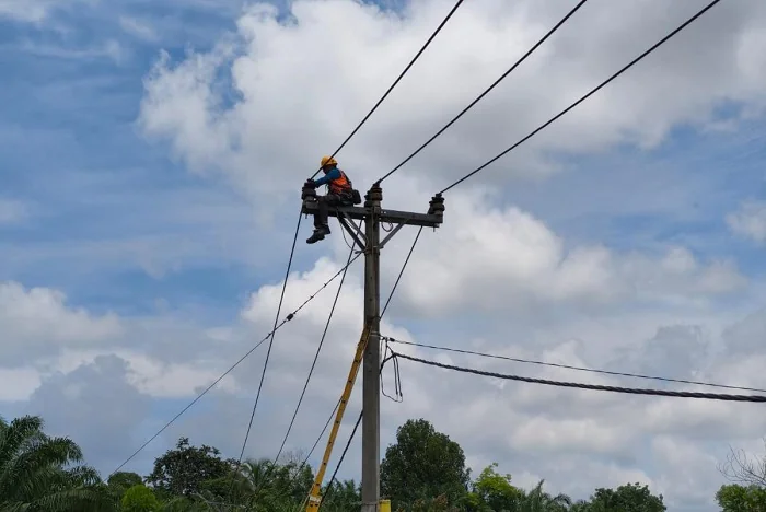PEMELIHARAAN - Personel PLN sedang melakukan pemeliharaan pada jaringan tegangan menengah. PLN menghimbau kepada seluruh masyarakat untuk menjaga jarak aman dengan tidak melakukan pembangunan dan tanam tumbuh dibawah atau sekitar jaringan PLN.