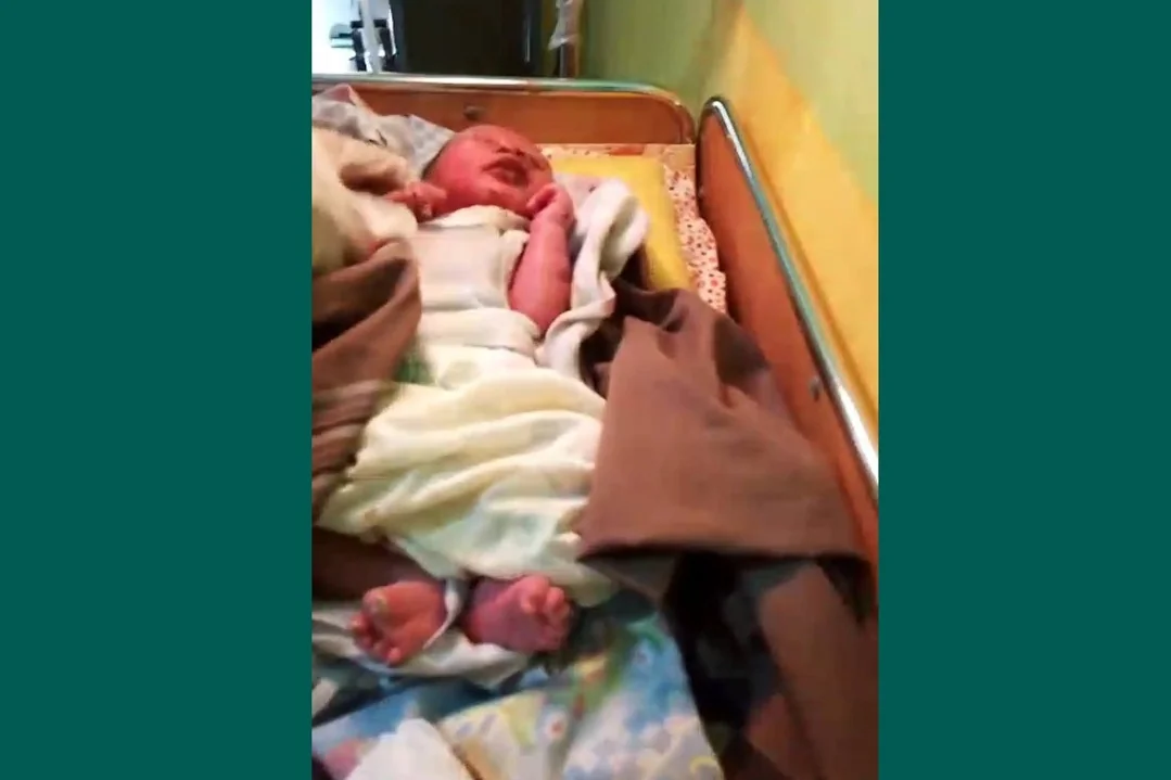 Menguak Misteri Bayi Dibuang di Kebun Kelapa Kubu Raya: Kronologi Dramatis dan Dugaan Motif Malu. (FOTO: SCREENSHOT FB)