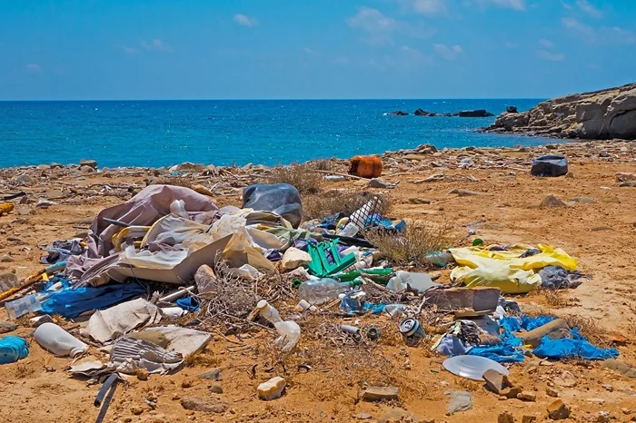 Sampah Laut