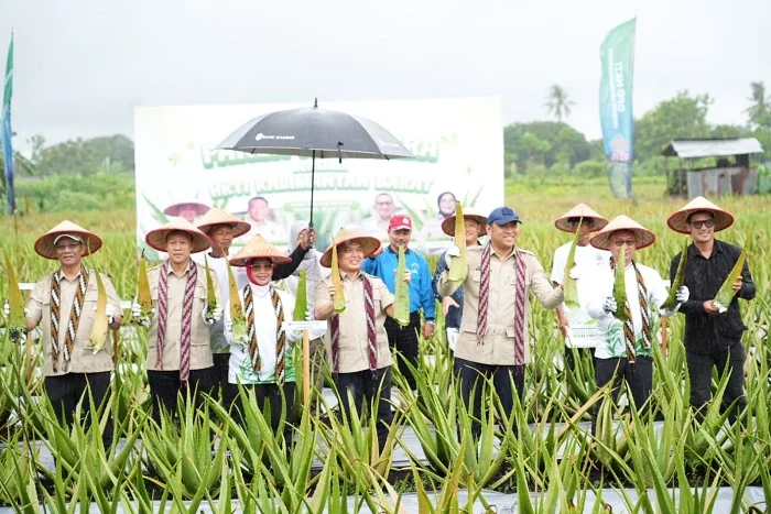 LIDAH BUAYA - Ketua HKTI Kalbar sekaligus Gubernur Kalbar Ria Norsan bersama Wamentan Sudaryono saat menghadiri panen raya sekaligus meninjau lahan budidaya lidah buaya di Kota Pontianak usai pelantikan Pengurus DPD Himpunan Kerukunan Tani Indonesia (HKTI