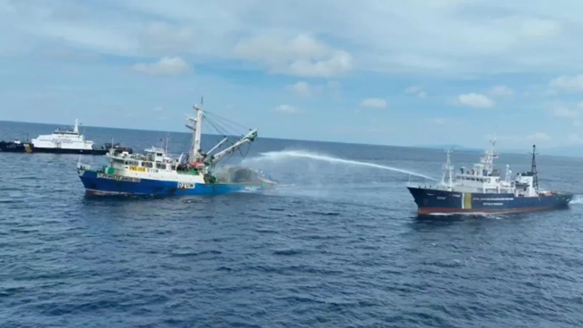 Selama satu tahun pemerintahan Prabowo-Gibran, KKP berhasil menyelamatkan potensi kerugian negara sebesar Rp6,79 triliun dari praktik ilegal seperti penyelundupan benih lobster, destructive fishing, dan kapal ilegal.