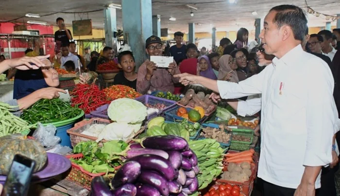 Presiden Joko Widodo melakukan peninjauan harga di Pasar Pusat Perbelanjaan Mentaya, Kabupaten Kotawaringin Timur, Provinsi Kalimantan Tengah, pada Rabu, 26 Juni 2024. Foto: BPMI Setpres/Kris.