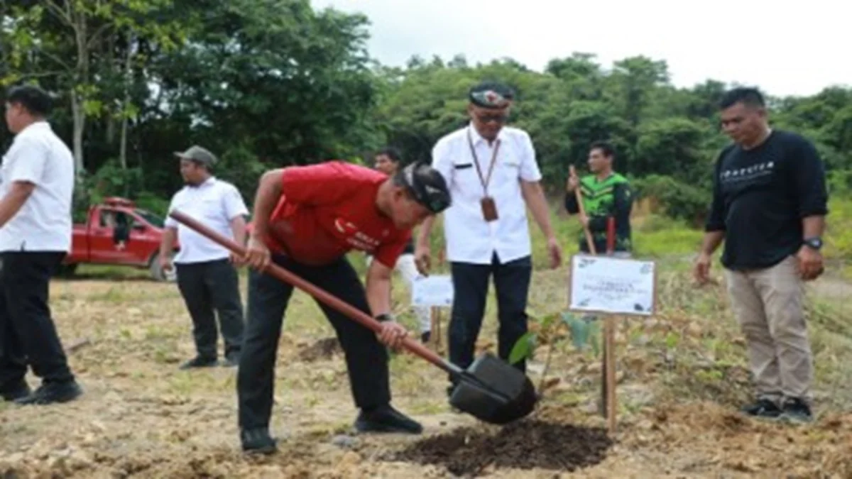 Pembangunan Sekolah Garuda di Tanjung Selor, Kalimantan Utara, resmi dimulai dengan simbol penanaman pohon ulin. Foto: BIRO ADPIM