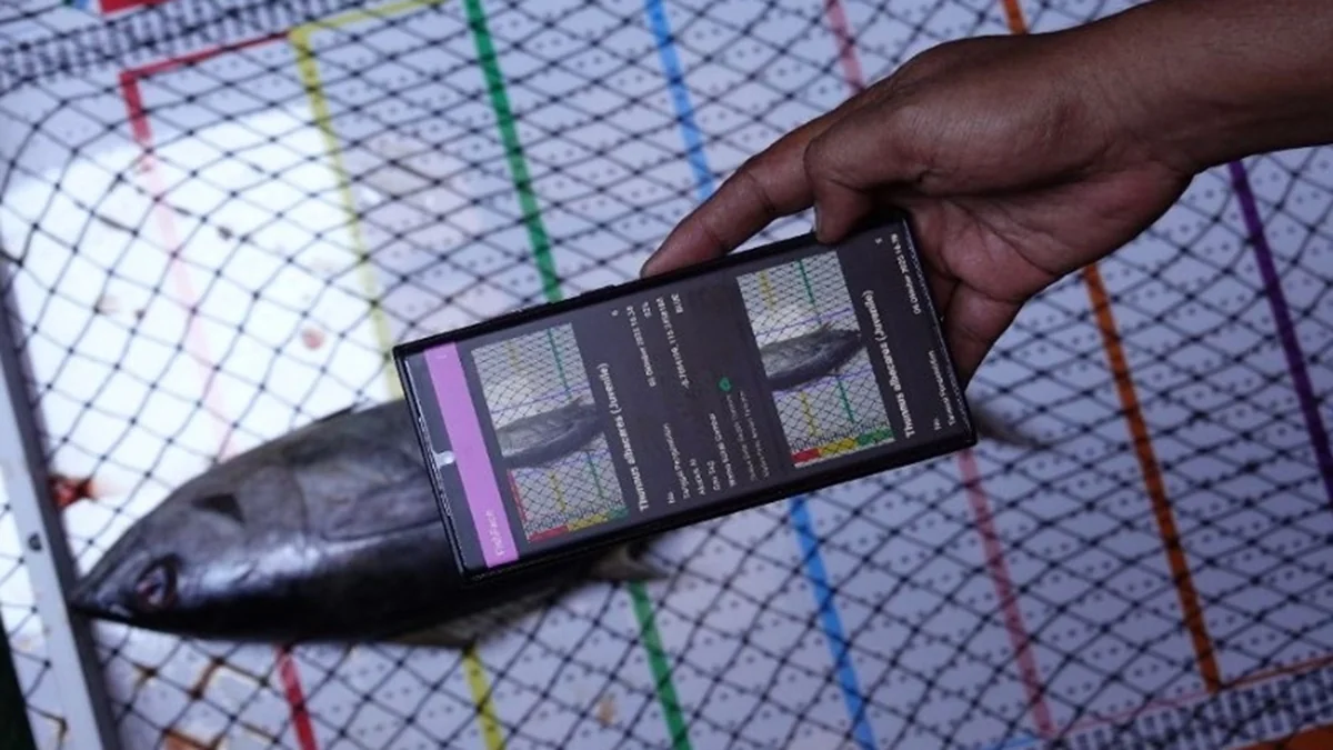 KKP meluncurkan e-Logbook versi 3 yang dilengkapi teknologi kecerdasan buatan (AI) untuk identifikasi jenis ikan otomatis dan pemantauan kapal secara real time.