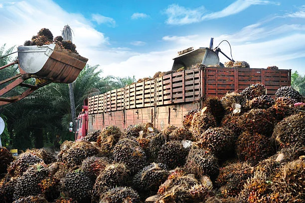 Pabrik Kelapa Sawit (Ilustrasi)