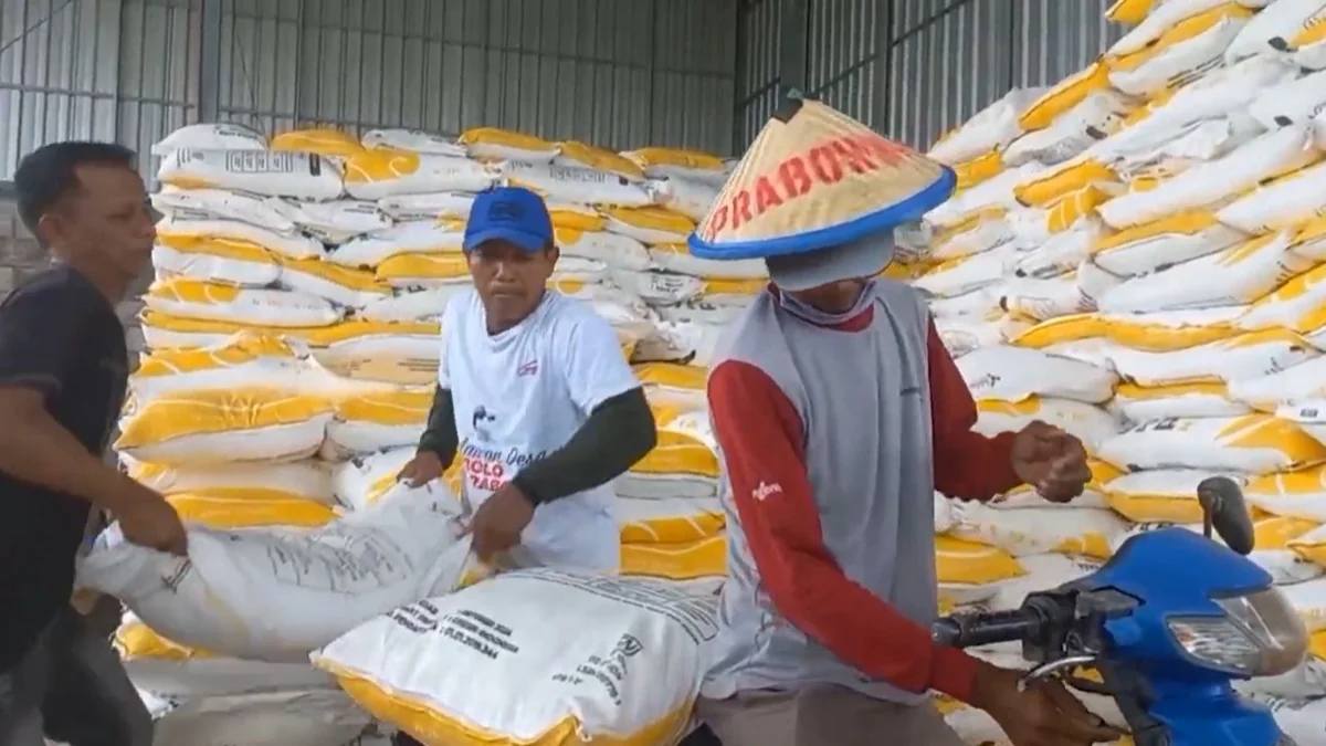 Ekonom Universitas Indonesia, Nina Sapti Triaswati, menilai subsidi pupuk pemerintah belum efektif. Ia mengusulkan skema reimburse agar bantuan langsung diterima petani dan distribusi pupuk lebih transparan.