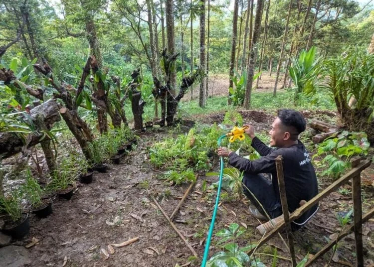 KTH Bumi Priangan  mengembangkan tanaman anggerk di basecamp (Poros Kalimantan)