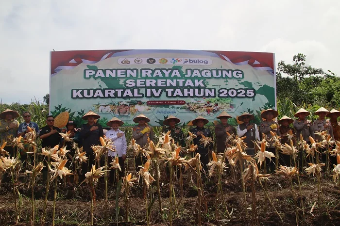 PANEN JAGUNG - Gubernur Kalimantan Barat Ria Norsan saat mengikuti Panen Raya Jagung Serentak Kuartal IV Tahun 2025 di Parit Baru, Dusun Karya I, Desa Jawa Tengah, Kabupaten Kubu Raya, Kamis (8/1/2026).