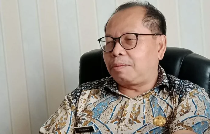 Kepala Dinas Lingkungan Hidup Kabupaten Penajam Paser Utara Provinsi Kalimantan Timur, Safwana. (ANTARA)