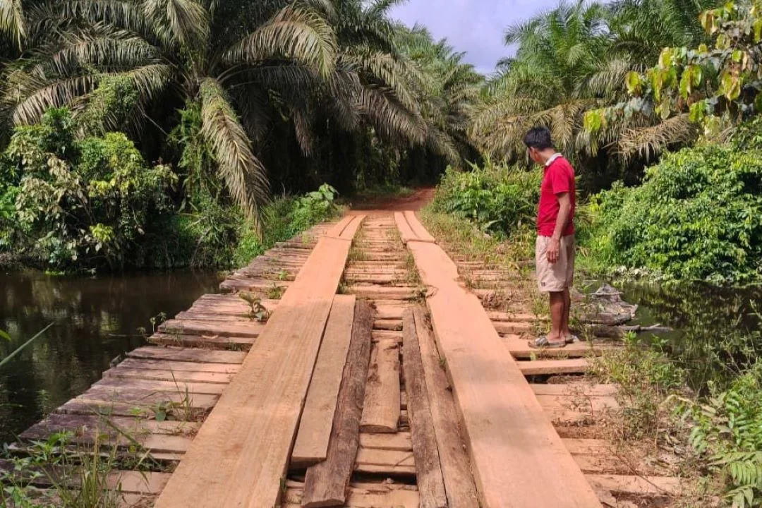 Infrastruktur Lumpuh: Jembatan Benipis Ketapang Rusak Berulang Kali, Tiga Desa Merasa Ditinggalkan Pemerintah. (FOTO: IMKK)