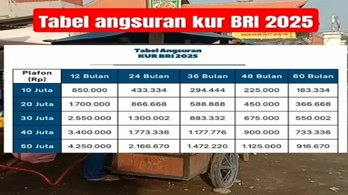 Hingga Juli 2025, BRI telah menyalurkan Rp99,31 triliun Kredit Usaha Rakyat (KUR), atau 56,75% dari total alokasi Rp175 triliun.