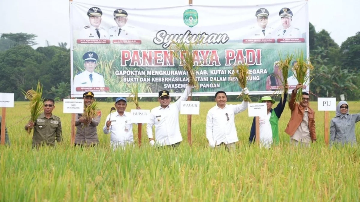 Wakil Gubernur Kaltim Seno Aji menghadiri panen raya padi di Kutai Kartanegara. Foto: Adpimprovkaltim