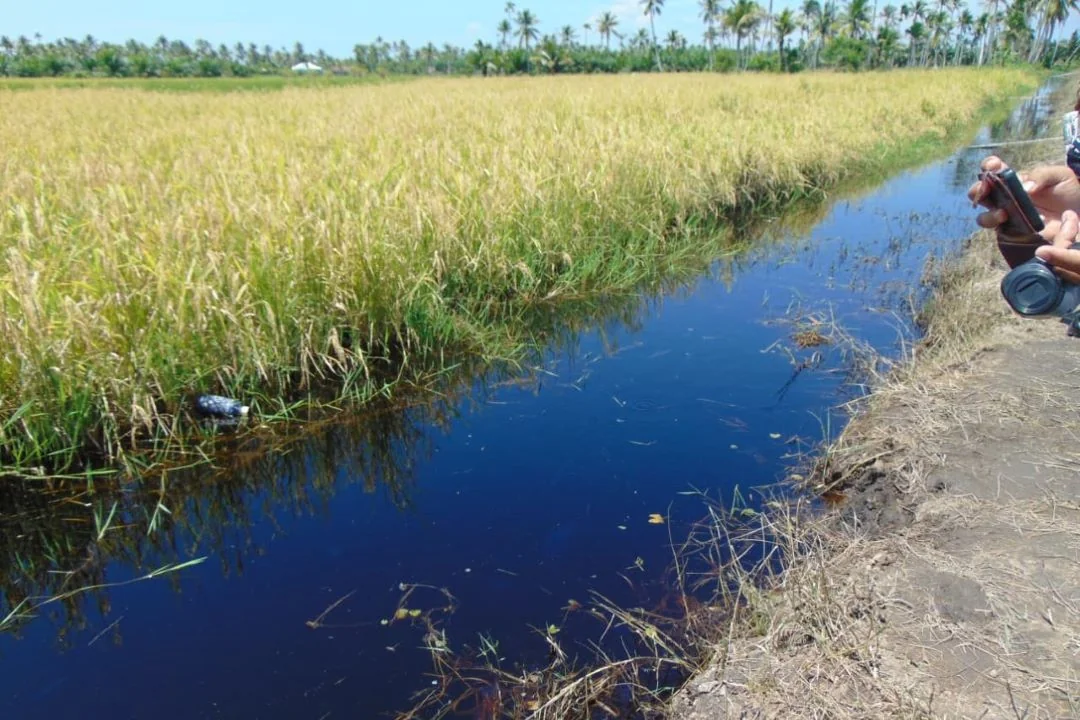 Dugaan Limbah Ancam Pertanian: Warga Desa Jongkat Keluhkan Pencemaran Sungai dari Dua Perusahaan Besar. (FOTO: JECKMUS PONTV)