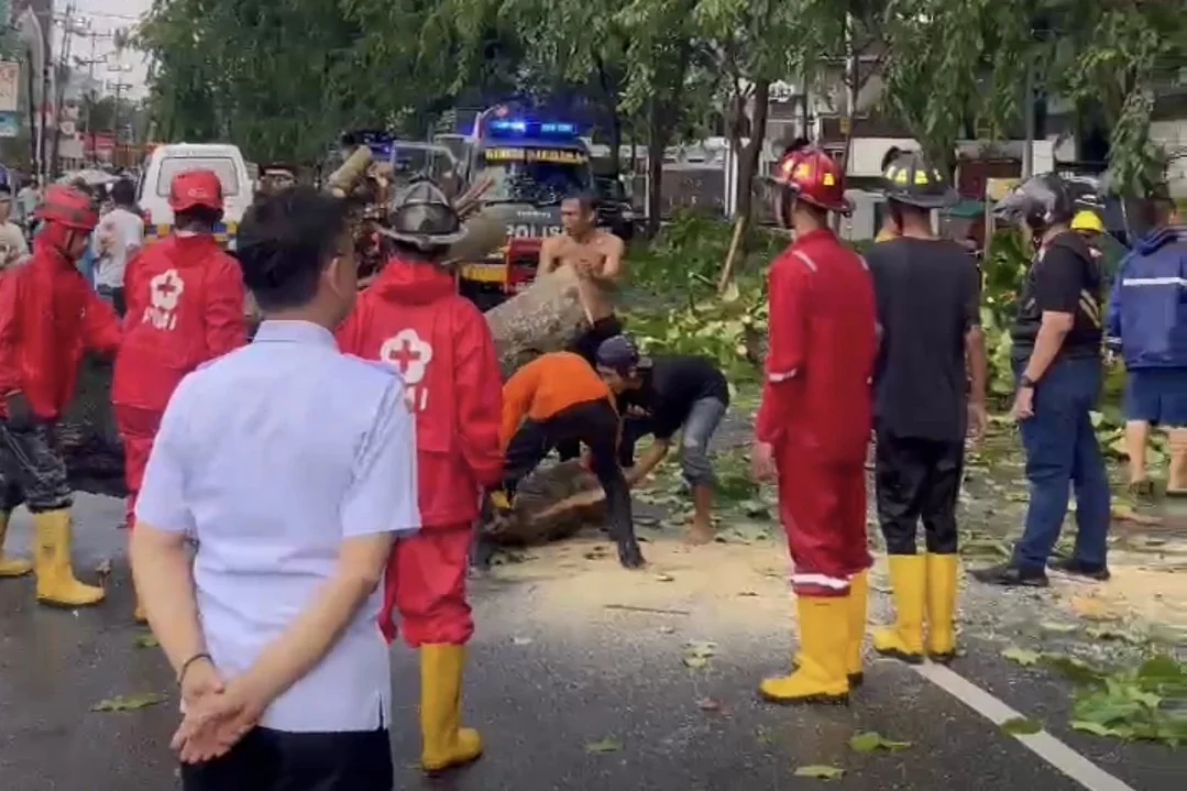 Pontianak Diterjang Angin Kencang, Pohon Tumbang di Sejumlah Lokasi. (FOTO: PROKOPIM)