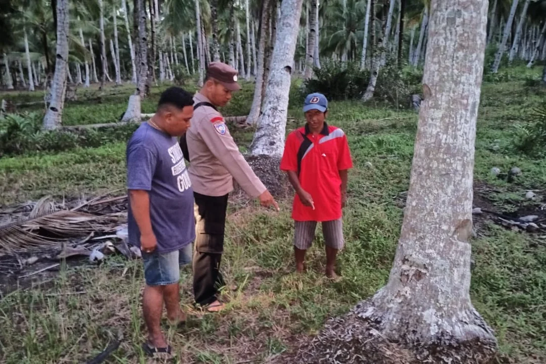 Polisi Kejar Pelaku: Bayi Laki-laki Ditemukan Hidup di Kebun Kelapa Kubu Raya. (FOTO: HUMAS POLRES)