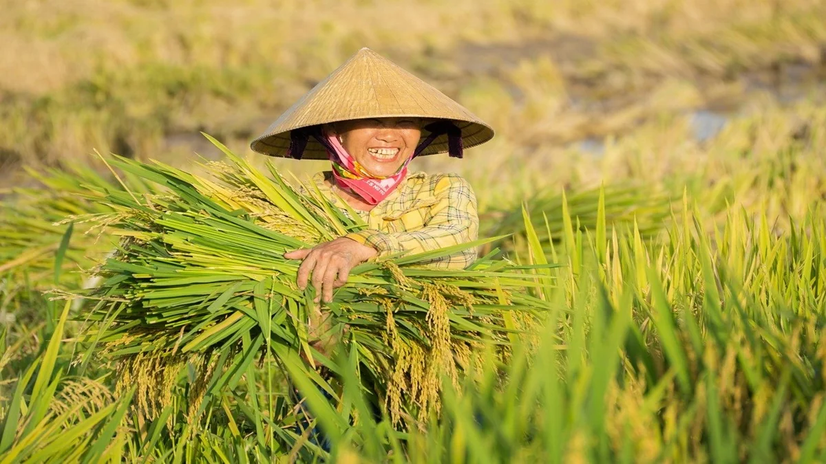 Ilustrasi pentingnya inovasi budidaya, cetak sawah, hingga program padi apung untuk mendukung swasembada pangan dan menjaga inflasi tetap terkendali di Kalimantan.