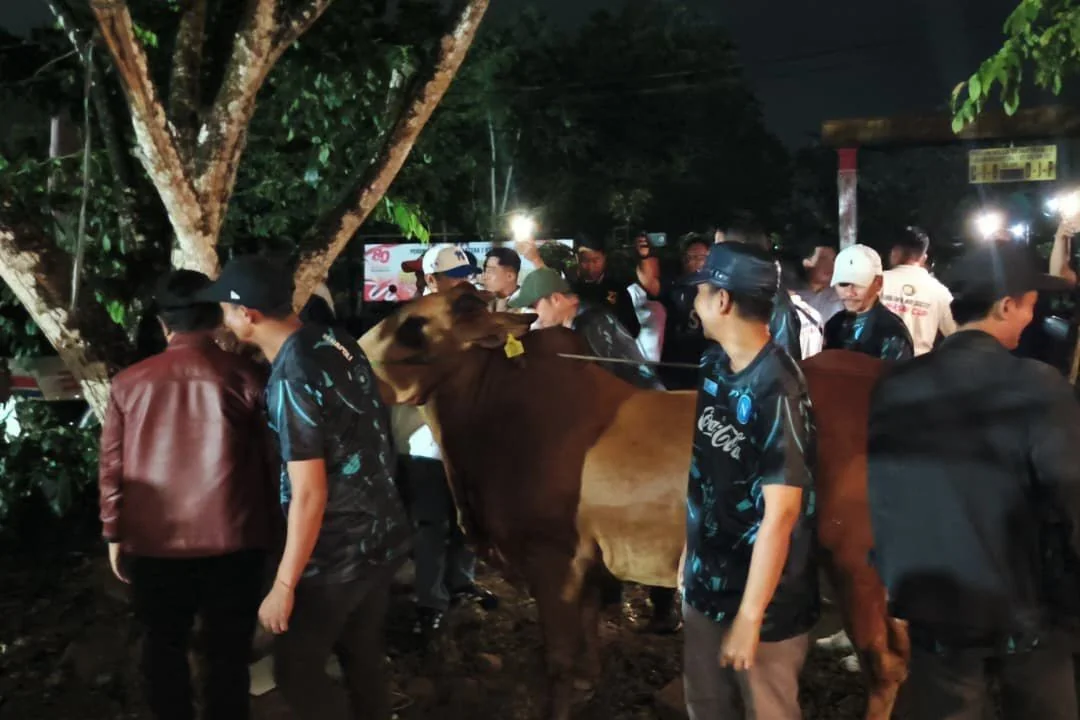 Radit FC Gondol Sapi: Turnamen Mini Soccer Bahasan Cup 2025 Sukses Jadi Model Sportivitas dan Kebersamaan di Pontianak. (FOTO: PROKOPIM)