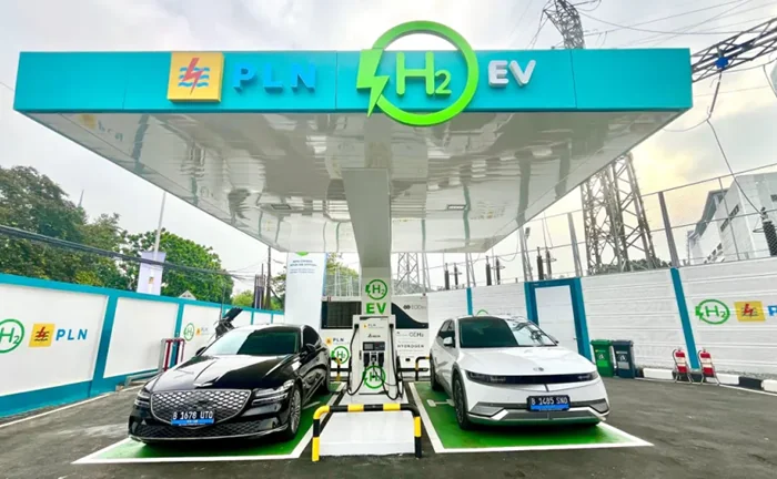 Hidrogen PLN (Int)