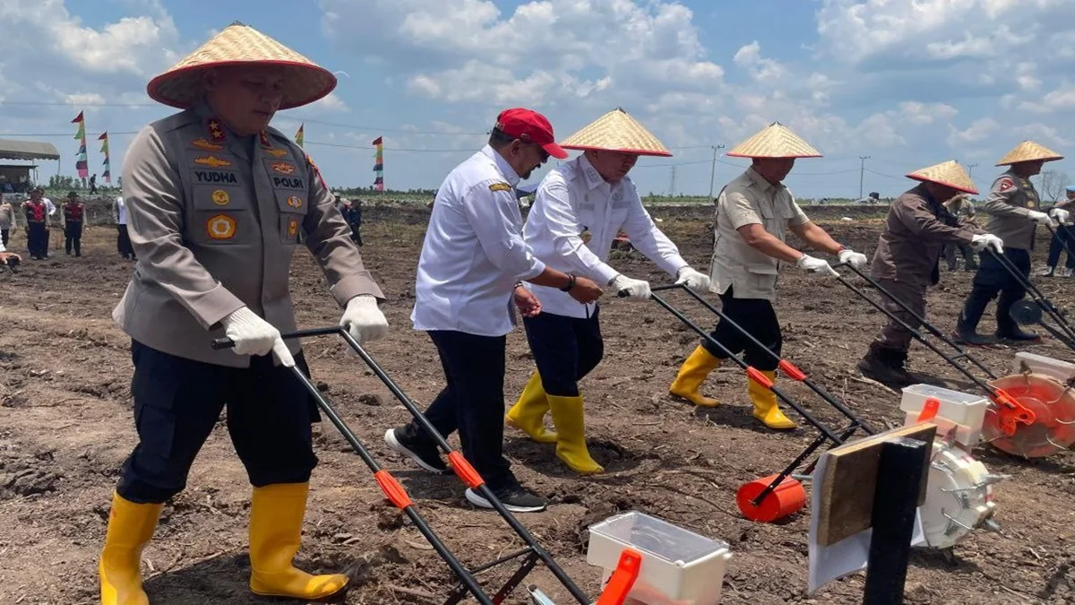 Gubernur Kalimantan Selatan Muhidin mendukung penuh gerakan penanaman jagung serentak yang digelar di Kabupaten Banjar. Foto: MC Kalsel
