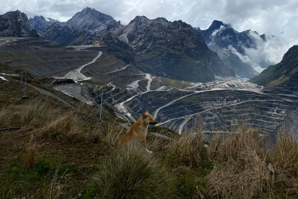 Kawasan eks tambang Grasberg milik PT Freeport Indonesia di Mimika,Papua (Bisnis.com)