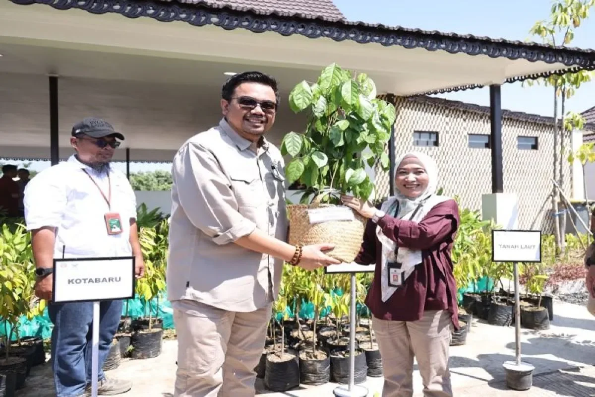 Tanah Bumbu terima 500 bibit tanaman dari Kemenhut RI
