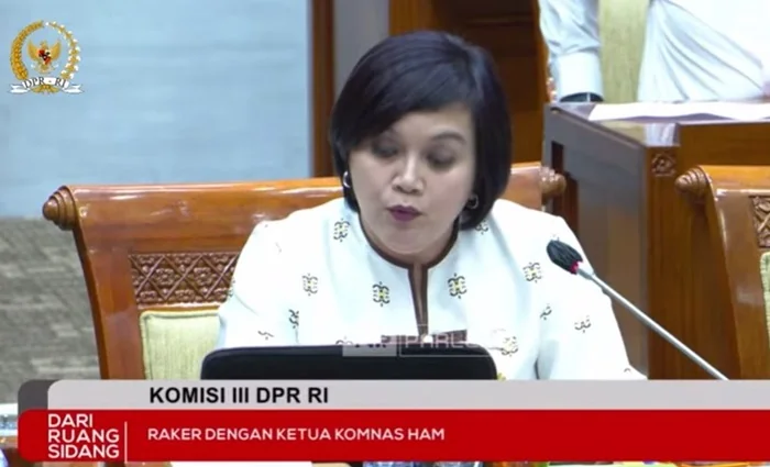 Ketua Komnas HAM Atnike Nova Sigiro dalam rapat kerja (raker) bersama Komisi III DPR. (angkapan Layar Parlemen TV DPR RI)