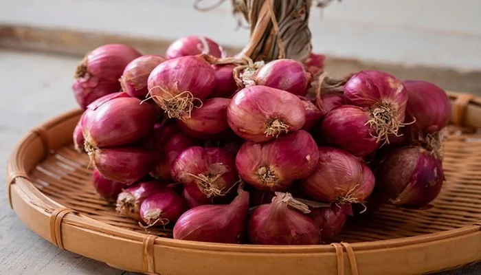 Bawang Merah (ilustrasi)