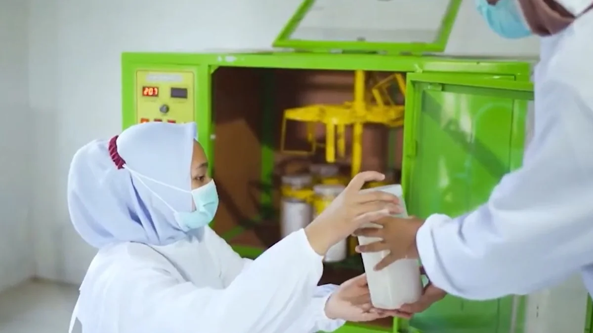 Pemerintah siapkan Rp9,95 triliun untuk memperkuat sektor perkebunan dan dorong ekspor produk olahan bernilai tinggi.