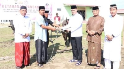Kapolda Irjen Pol Daniel Salurkan 60 Ekor Hewan Kurban Sapi di Kaltara