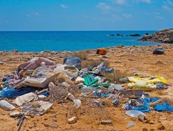 Target Pemprov Kaltim Kurangi Sampah Laut Hingga 30 Persen